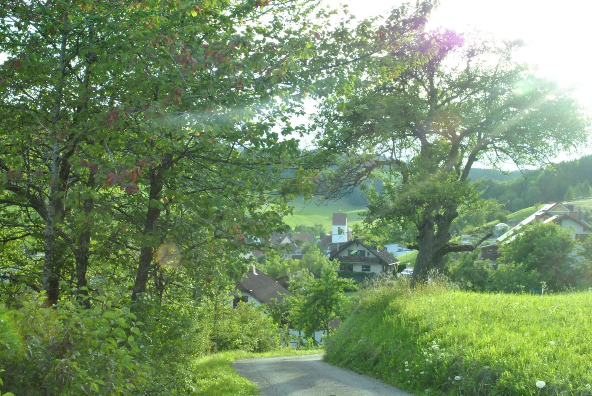 Gasthaus Kranz Lausheim ภายนอก รูปภาพ