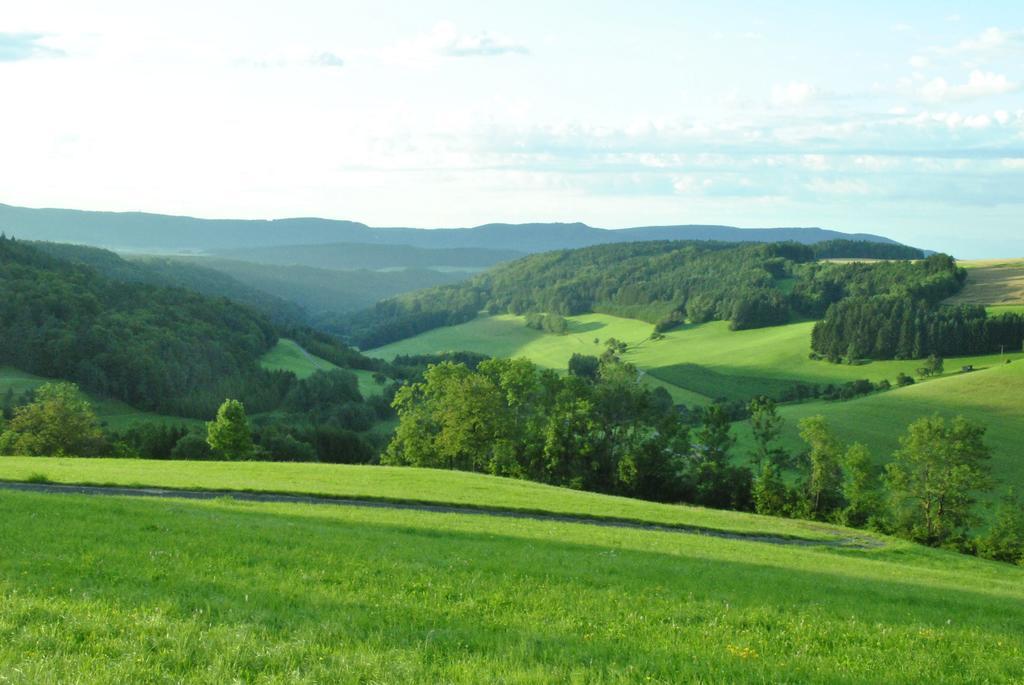 Gasthaus Kranz Lausheim ภายนอก รูปภาพ