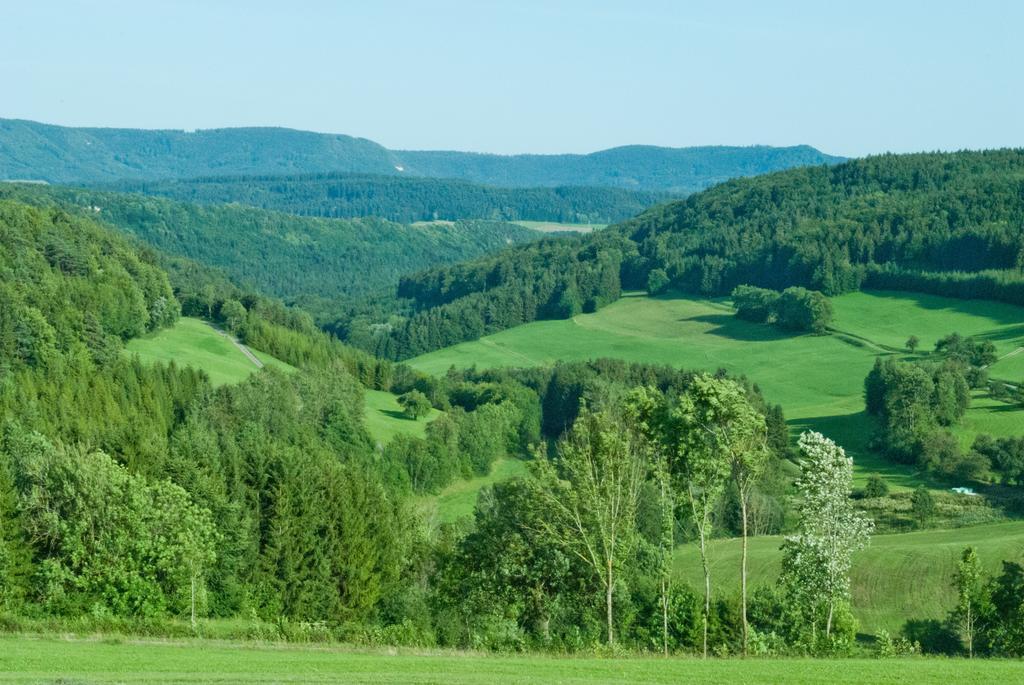 Gasthaus Kranz Lausheim ภายนอก รูปภาพ